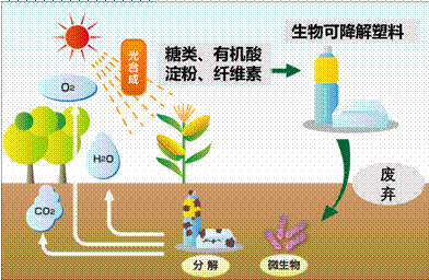 塑料件有机废气处理